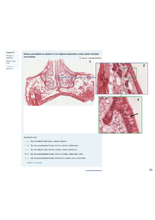 TEST-HISTOLOGIA.pdf