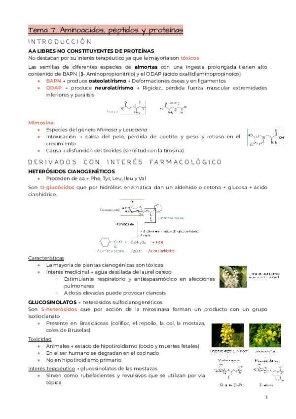 Tema-7.-Aa-peptidos-y-proteinas.pdf