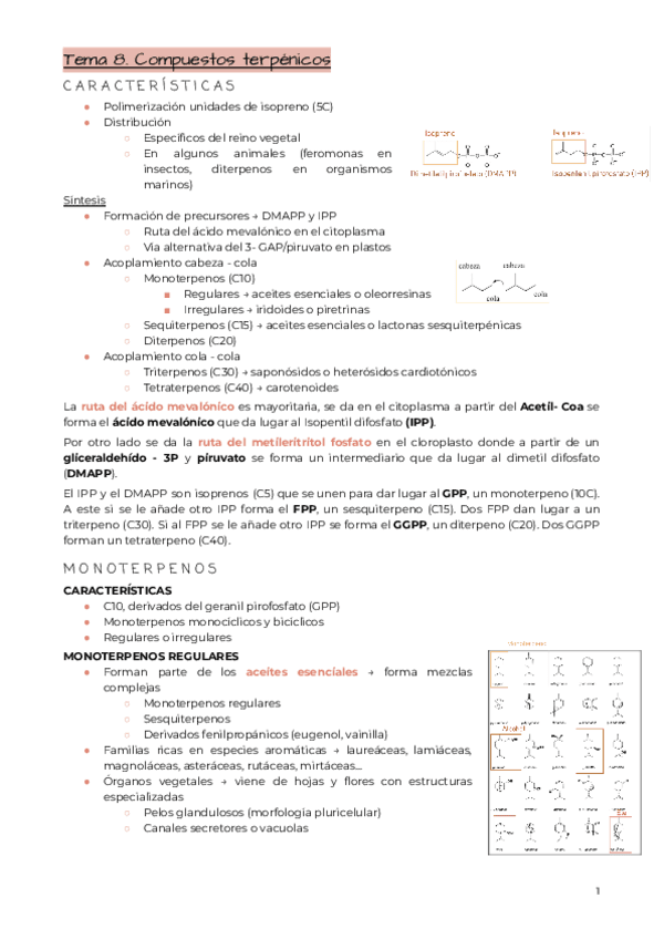 Tema-8.-Compuestos-terpenicos.pdf