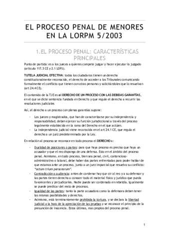 TEMA 5 proceso penal de menores.pdf