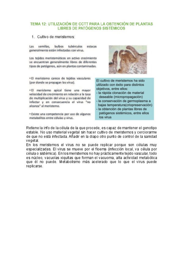 tema-12-mejora.pdf