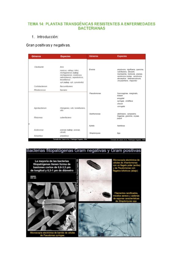 tema-14-mejora.pdf