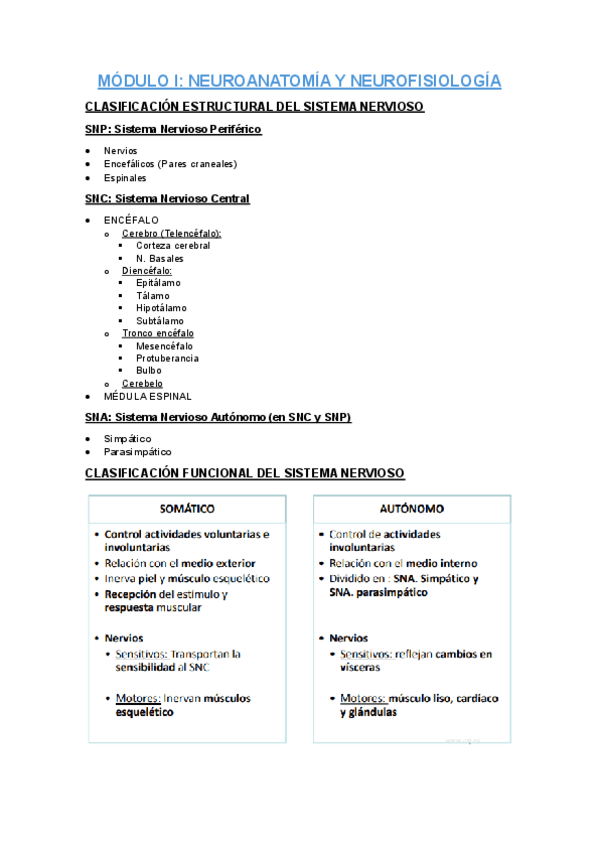 MODULO-I.-NEUROANATOMIA-Y-FISIOLOGIA.pdf