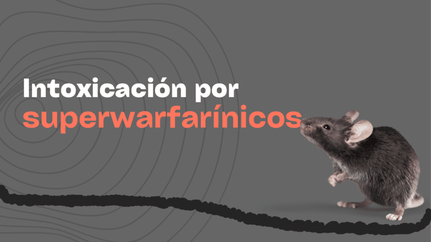 Intoxicacion-por-superwarfarinicos.pdf