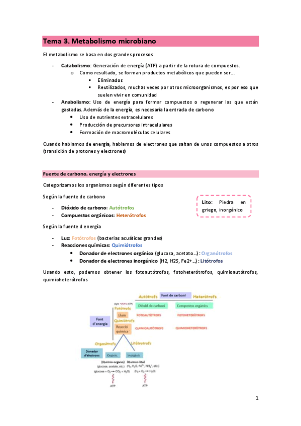 T3-MIC-Metabolismo-microbiano.pdf