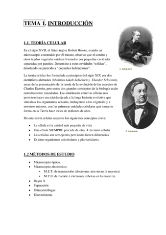 TEMA 1.pdf