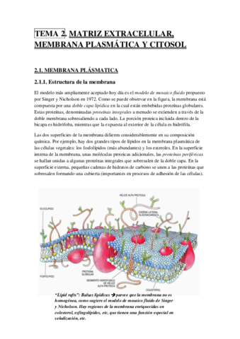 TEMA 2.pdf