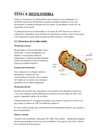 TEMA 4.pdf