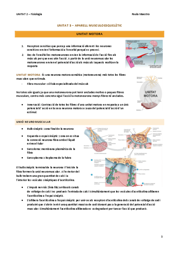 UNITAT-3-Fisiologia.pdf