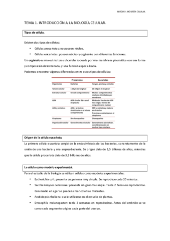 BLOQUE I BIOLOGÍA CELULAR. (TEMAS 1-11)..pdf