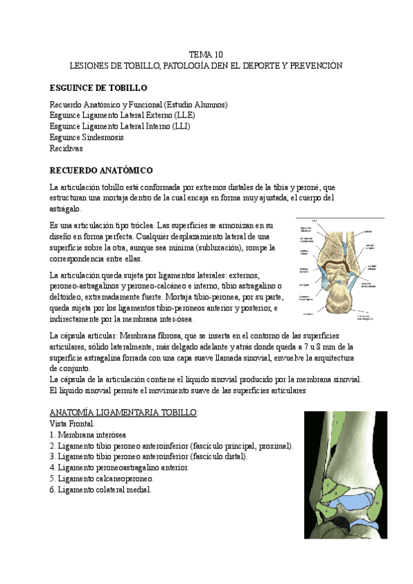 TEMA-10-LESIONES.pdf