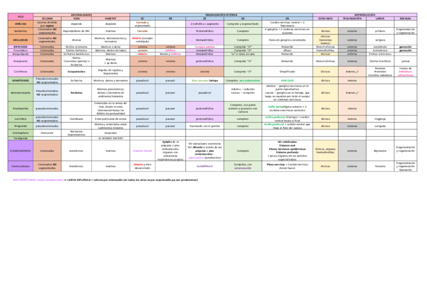 TAULA-2DO-PARCIAL.pdf