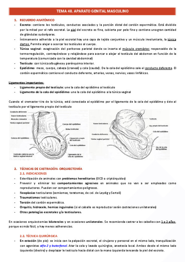 Genitourinario-caballos-T.48-50.pdf