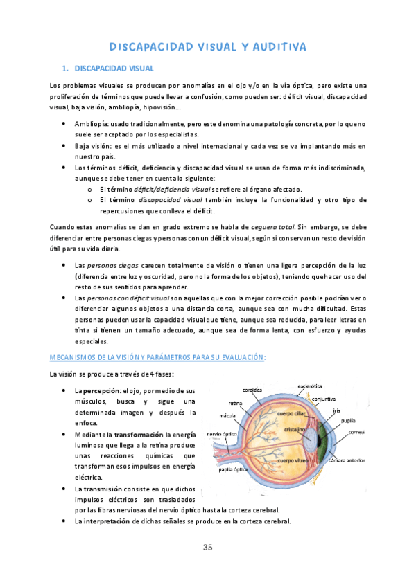 NEAE-3.pdf