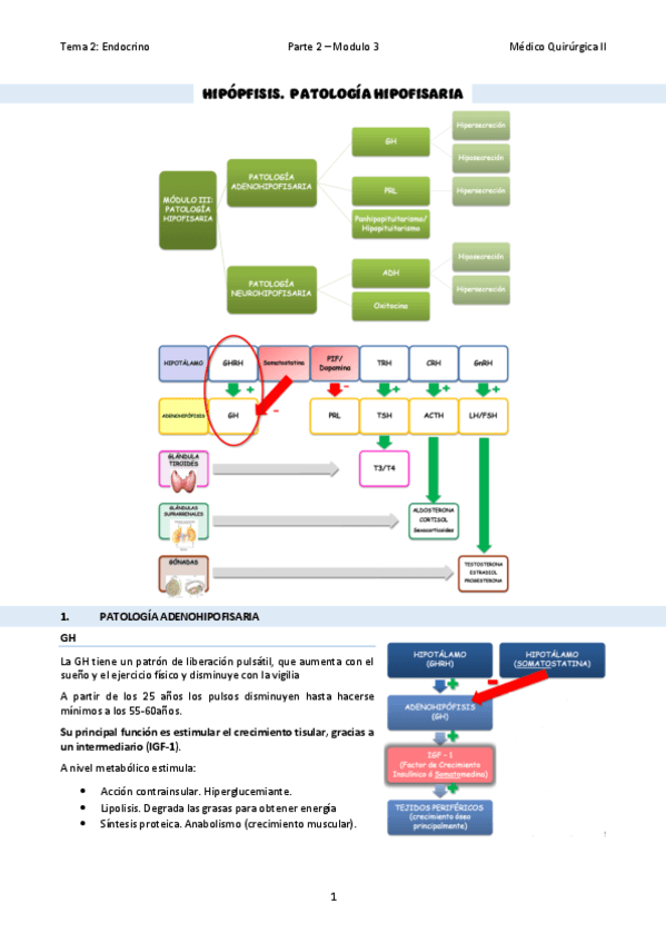 TEMA-11Patologia-hipofisaria.pdf