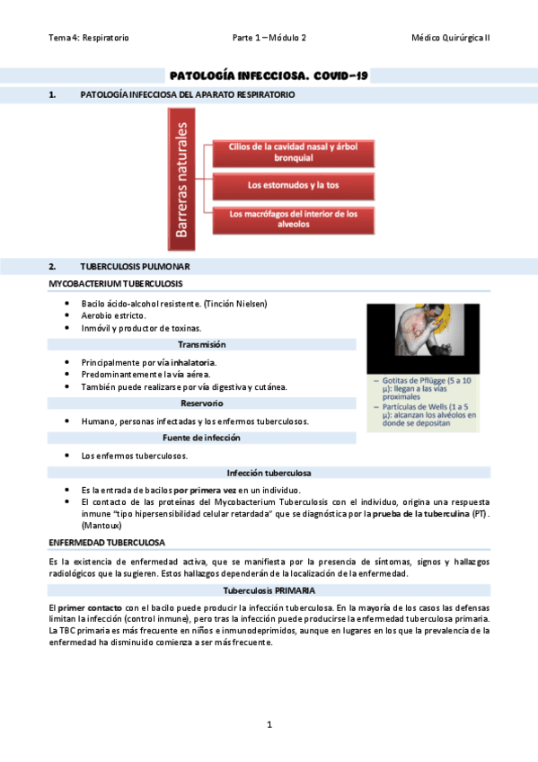 TEMA-22Patologia-infecciosa.pdf