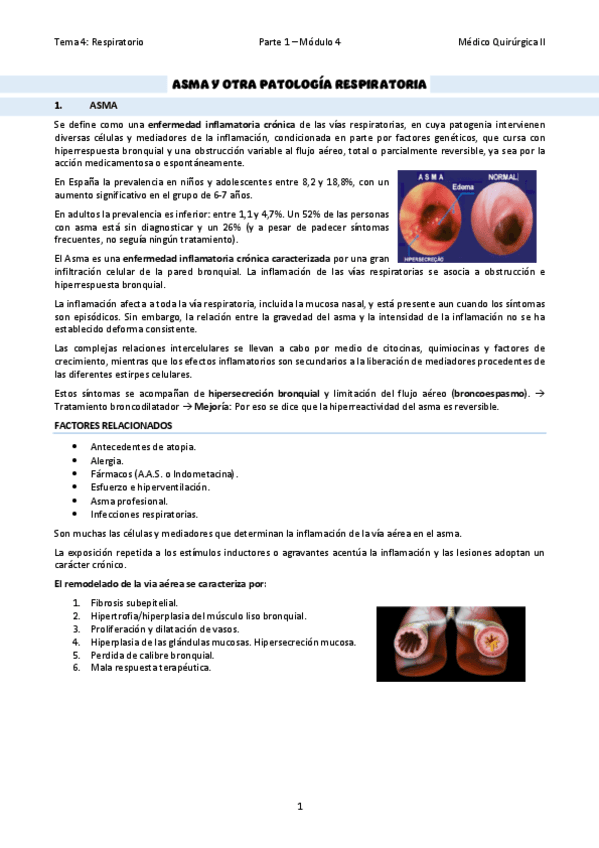 TEMA-24Asma-y-otras.pdf