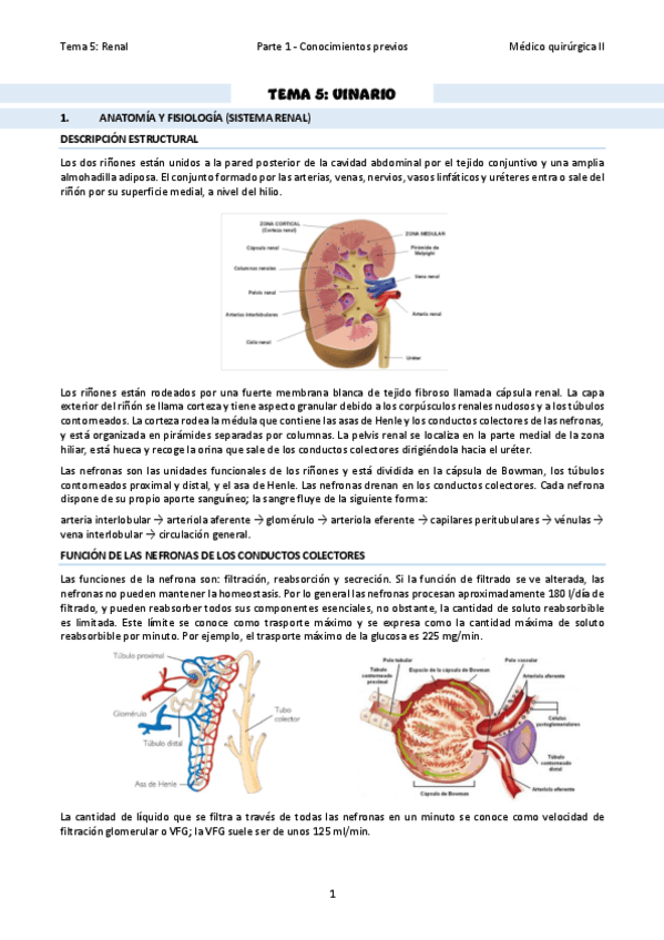 TEMA-27-Conceptos-previos.pdf