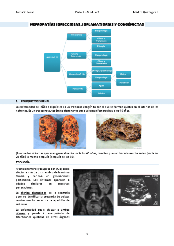 TEMA-29Nefropatias-infecciosas-inflamatiorias-y-congenictas.pdf
