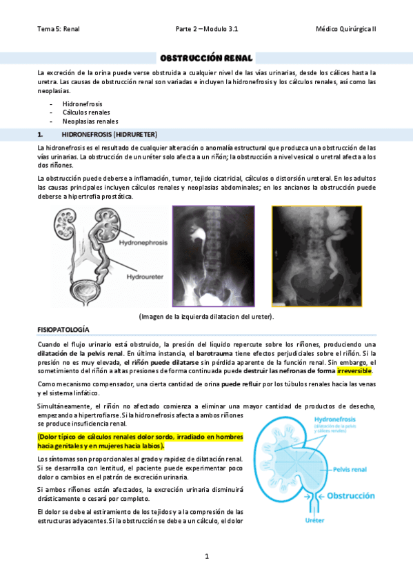 TEMA-30Obstruccion-renal.pdf