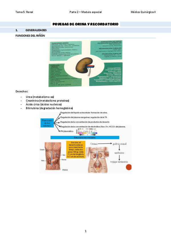 TEMA-32Pruebas-de-orina-y-generalidades.pdf