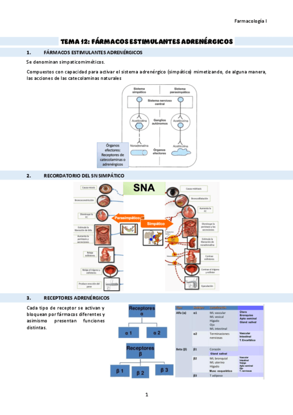 TEMA-12-farmacos-estimulantes-adrenergicos.pdf