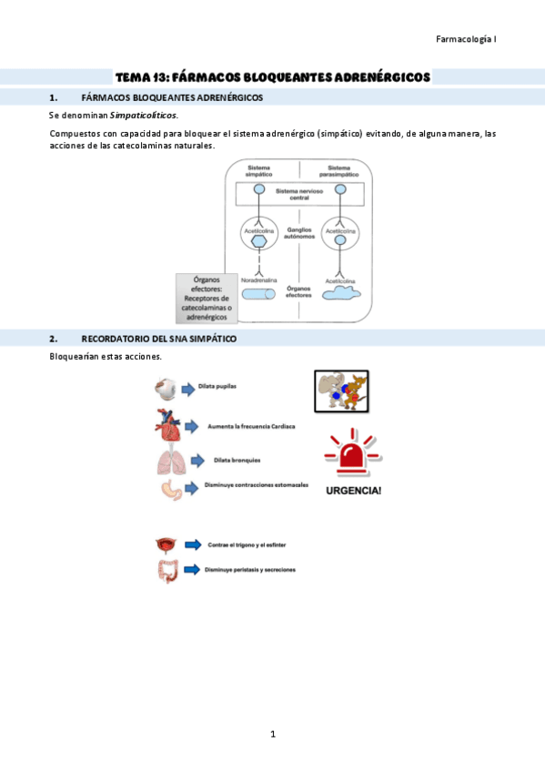 TEMA-13-farmacos-bloqueantes-adrenergicos.pdf