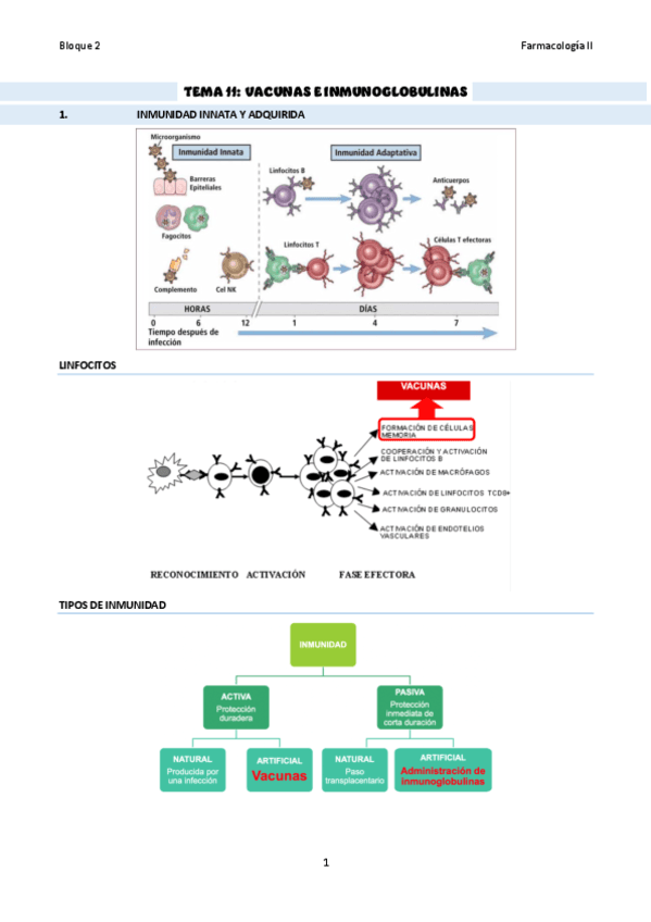 TEMA-11Vacunas-e-inmunoglubulinas.pdf
