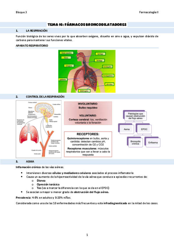 TEMA-16Broncodilatadores.pdf