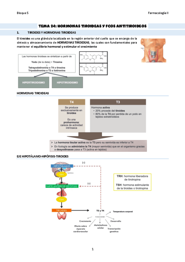 TEMA-24Hormonas-tiroideas-y-fcos-antitiroideos.pdf