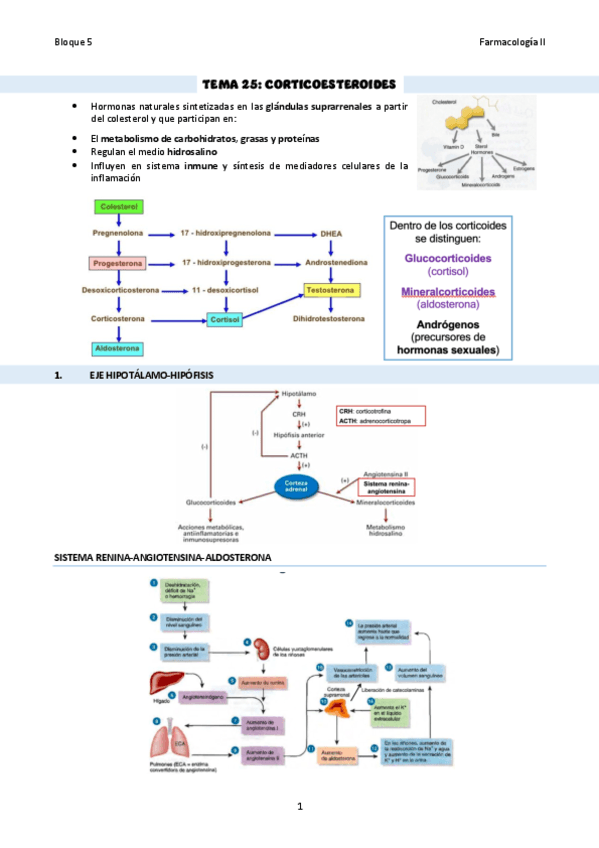TEMA-25Corticoesteroides.pdf