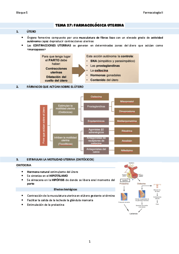 TEMA-27Uterina.pdf