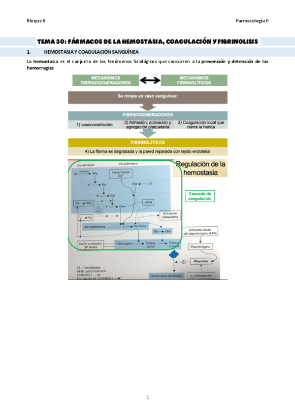 TEMA-30Hemostasia-coagulacion-y-fibrinolisis.pdf