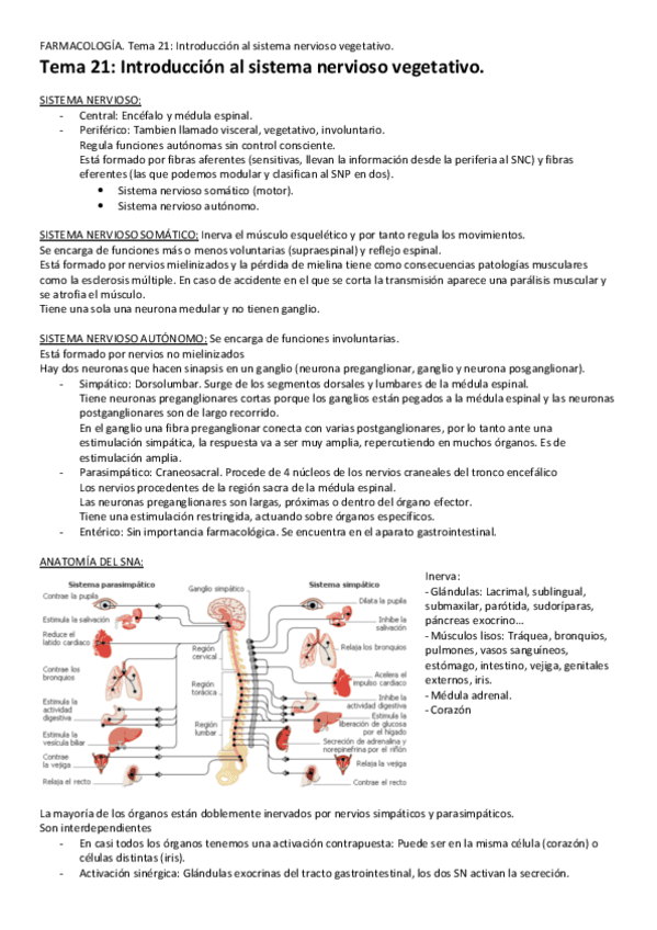 Tema-21-Introduccion-al-SN-vegetativo.pdf