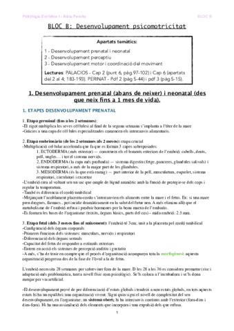 BLOC B - Desenvolupament i psicomotricitat .pdf