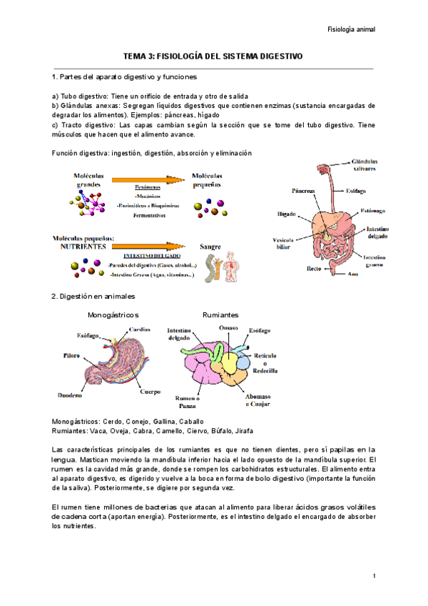 TEMA-3-FISIOLOGIA-DEL-SISTEMA-DIGESTIVO.pdf