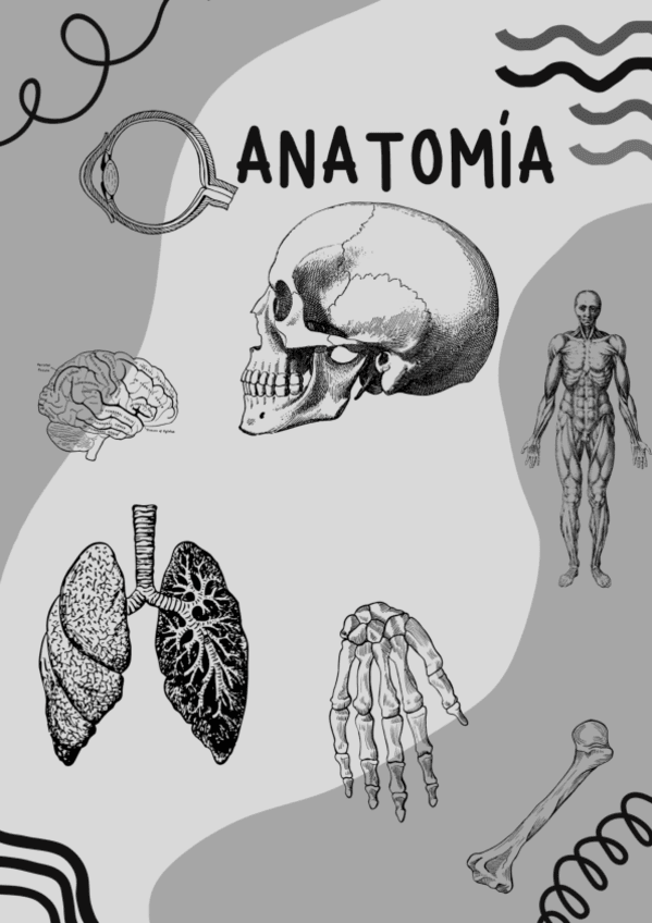 T7.-DESARROLLO-DEL-SISTEMA-VISUAL-HUMANO.pdf