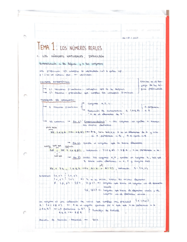 TEMA-1-CALCULO-Los-numeros-reales-series-y-sucesiones.pdf