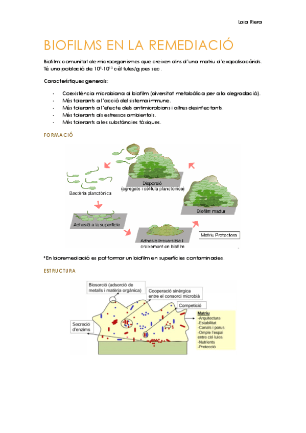5.-Biofilms-en-la-remediacio.pdf