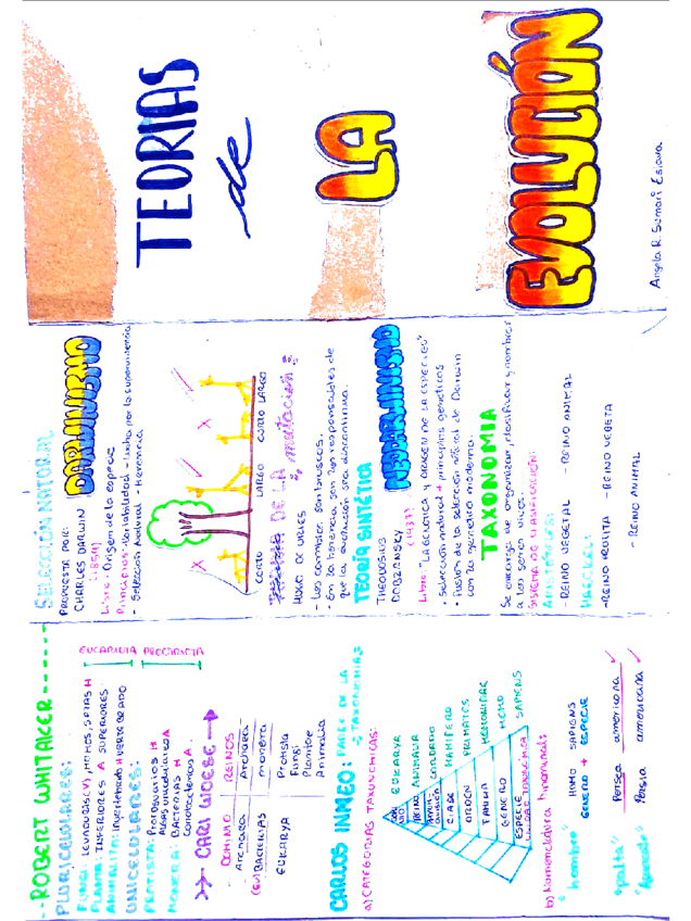Teorias-de-la-EVOLUCION.pdf