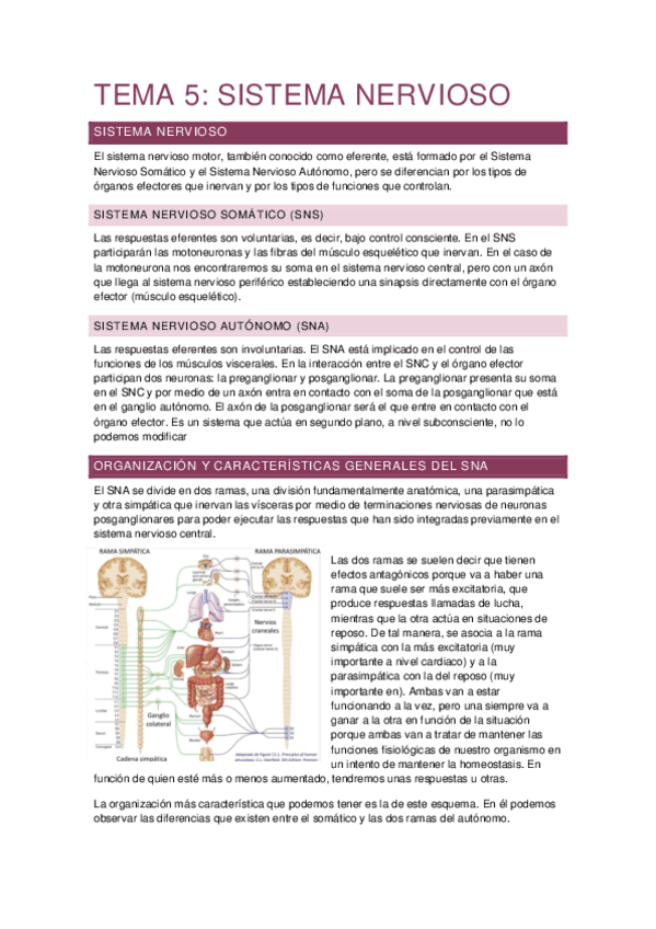 Tema-5-nervioso.pdf