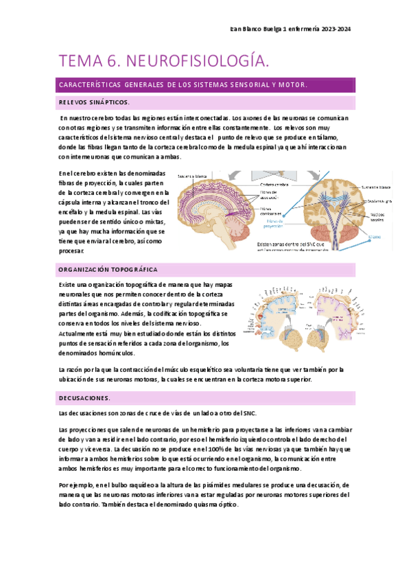 Tema-6-nervioso.pdf