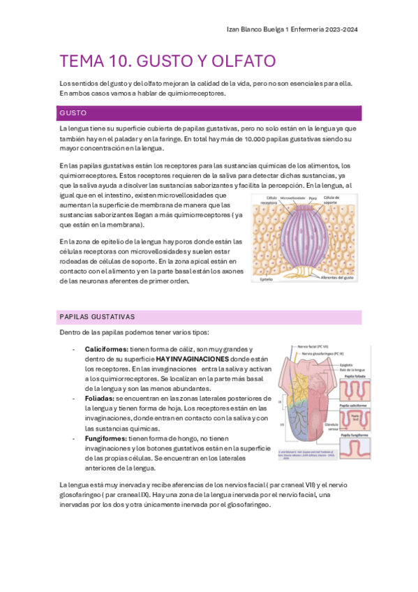 tema-10-nervioso.pdf