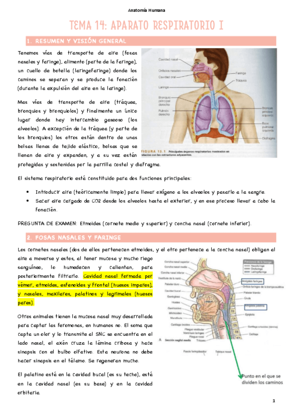 T14-Aparato-Respiratorio-I.pdf