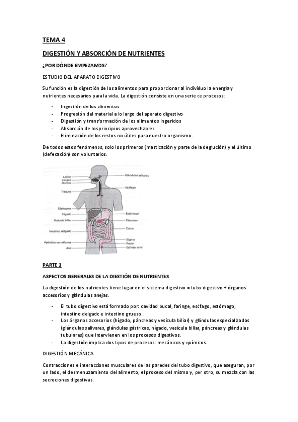 TEMA-4.pdf