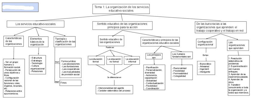 ORGANIZACION-Mapa-Conceptual-Tema-1.pdf