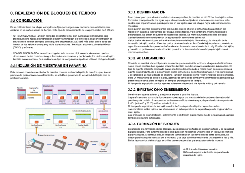 TEMA-3-PCT.pdf