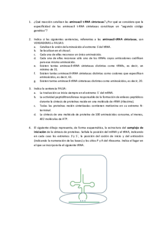 TutorÃ_as traducciÃ³n_1617.pdf