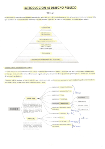 temas 1 y 2.pdf