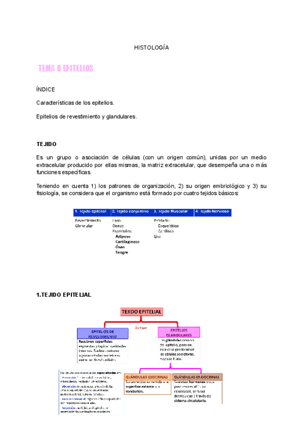 Tema-8-HISTOLOGIA..pdf